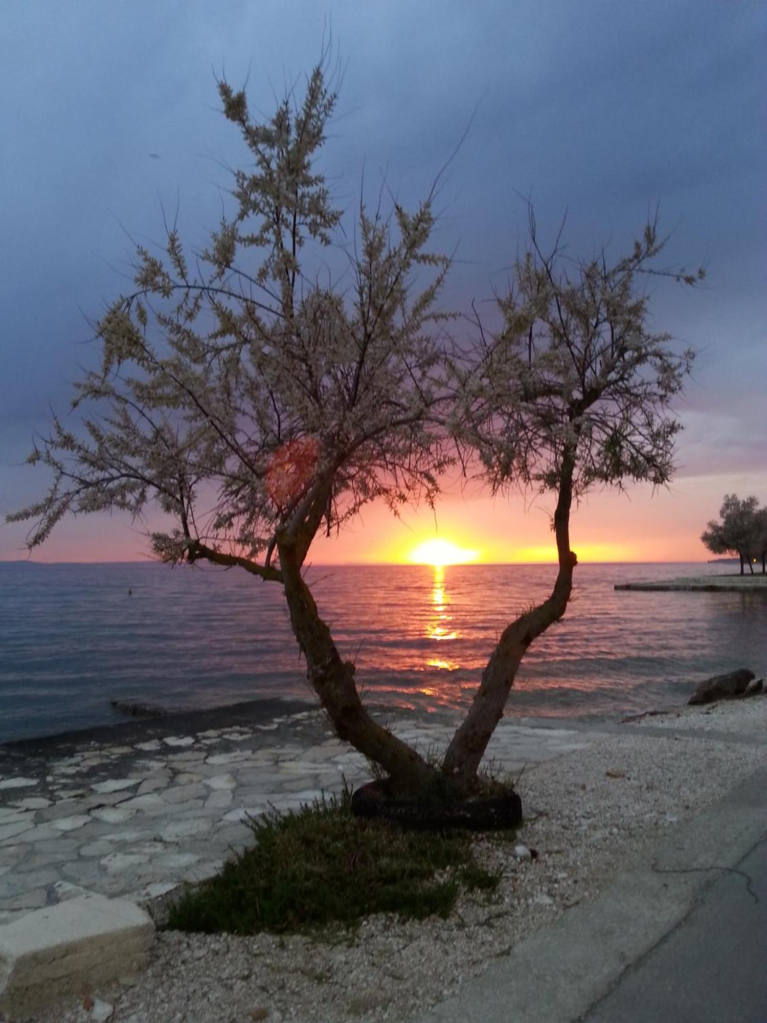 Apartmani Basioli Zadar Buitenkant foto